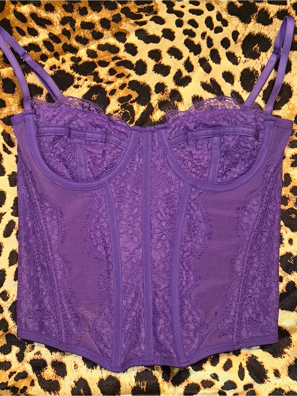 Out From Under Urban Outfitters Purple Lace Corset Bustier Top